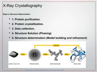 Drug design and discovery | PPT