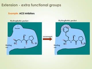 Example: ACE Inhibitors
Extension - extra functional groups
EXTENSION
Hydrophobic pocket
Binding
site
N
H
N
O CO2
O
O
CH3
Binding
site
N
H
N
O CO2
O
O
CH3
(I)
Hydrophobic pocket
Vacant
 