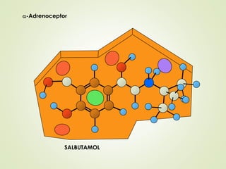 a-Adrenoceptor
SALBUTAMOL
 