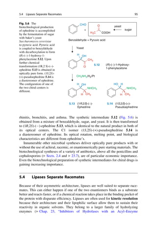 rhinitis, bronchitis, and asthma. The synthetic intermediate 5.12 (Fig. 5.6) is
obtained from a mixture of benzaldehyde, sugar, and yeast. It is then transformed
to (1R,2S)-()-ephedrine 5.13, which is identical to the natural product in both of
its optical centers. The C1 isomer (1S,2S)-(+)-pseudoephedrine 5.14 is
a diastereomer of ephedrine. Its optical rotation, melting point, and biological
characteristics are different from ephedrine’s.
Innumerable other microbial syntheses deliver optically pure products with or
without the use of achiral, racemic, or enantiomerically pure starting materials. The
biotechnological syntheses of a variety of antibiotics, above all the penicillins and
cephalosporins (▶ Sects. 2.4 and ▶ 23.7), are of particular economic importance.
Even the biotechnological preparation of synthetic intermediates for chiral drugs is
gaining increasing importance.
5.4 Lipases Separate Racemates
Because of their asymmetric architecture, lipases are well suited to separate race-
mates. This can either happen if one of the two enantiomers binds as a substrate
better and reacts faster, or if a chemical reaction takes place in the binding pocket of
the protein with disparate efficiency. Lipases are often used for kinetic resolution
because their architecture and their lipophilic surface allow them to sustain their
reactivity in organic solvents. They belong to a larger family of hydrolyzing
enzymes (▶ Chap. 23, “Inhibitors of Hydrolases with an Acyl–Enzyme
CHO
H3C COOH
O
sugar
yeast
+
Benzaldehyde + Pyruvic acid
H OH
Yeast
CH3
O
(R)-(-)-1-Hydroxy-
1-phenylacetone
5.12
H
CH3NH2/H2/Pt
NHCH3 NHCH3
OH
H H
HO
H
H CH3 CH3
(1R,2S)-(-)-
Ephedrine
5.13 (1S,2S)-(+)-
Pseudoephedrine
5.14
Fig. 5.6 The
biotechnological production
of ephedrine is accomplished
by the fermentation of sugar
with baker’s yeast
Saccharomyces cerevisiae
to pyruvic acid. Pyruvic acid
is coupled to benzyldehyde
with decarboxylation to form
(R)-(–)-1-hydroxy-1-
phenylacetone 5.12. Upon
further chemical
transformation (1R,2 S)-(–)-
ephedrine 5.13 is obtained in
optically pure form. (1S,2S)-
(+)-pseudoephedrine 5.14 is
a diastereomer of ephedrine.
The configuration of one of
the two chiral centers is
different.
5.4 Lipases Separate Racemates 95
 
