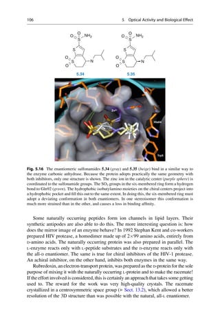 Some naturally occurring peptides form ion channels in lipid layers. Their
synthetic antipodes are also able to do this. The more interesting question is: how
does the mirror image of an enzyme behave? In 1992 Stephan Kent and co-workers
prepared HIV protease, a homodimer made up of 299 amino acids, entirely from
D-amino acids. The naturally occurring protein was also prepared in parallel. The
L-enzyme reacts only with L-peptide substrates and the D-enzyme reacts only with
the all-D enantiomer. The same is true for chiral inhibitors of the HIV-1 protease.
An achiral inhibitor, on the other hand, inhibits both enzymes in the same way.
Rubredoxin, an electron-transport protein, was prepared as the D-protein for the sole
purpose of mixing it with the naturally occurring L-protein and to make the racemate!
If the effort involved is considered, this is certainly an approach that takes some getting
used to. The reward for the work was very high-quality crystals. The racemate
crystallized in a centrosymmetric space group (▶ Sect. 13.2), which allowed a better
resolution of the 3D structure than was possible with the natural, all-L enantiomer.
S
NH2 NH2
O
O
S
O
O
S
S
O
O
N S
S
O
O
N
O
5.34 5.35
Fig. 5.16 The enantiomeric sulfonamides 5.34 (gray) and 5.35 (beige) bind in a similar way to
the enzyme carbonic anhydrase. Because the protein adopts practically the same geometry with
both inhibitors, only one structure is shown. The zinc ion in the catalytic center (purple sphere) is
coordinated to the sulfonamide groups. The SO2 groups in the six-membered ring form a hydrogen
bond to Gln92 (green). The hydrophobic isobutylamino moieties on the chiral centers project into
a hydrophobic pocket and fill this out to the same extent. In doing this, the six-membered ring must
adopt a deviating conformation in both enantiomers. In one stereoisomer this conformation is
much more strained than in the other, and causes a loss in binding affinity.
106 5 Optical Activity and Biological Effect
 