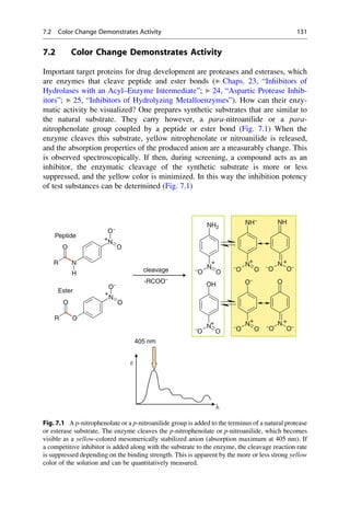 7.2 Color Change Demonstrates Activity
Important target proteins for drug development are proteases and esterases, which
are enzymes that cleave peptide and ester bonds (▶ Chaps. 23, “Inhibitors of
Hydrolases with an Acyl–Enzyme Intermediate”; ▶ 24, “Aspartic Protease Inhib-
itors”; ▶ 25, “Inhibitors of Hydrolyzing Metalloenzymes”). How can their enzy-
matic activity be visualized? One prepares synthetic substrates that are similar to
the natural substrate. They carry however, a para-nitroanilide or a para-
nitrophenolate group coupled by a peptide or ester bond (Fig. 7.1) When the
enzyme cleaves this substrate, yellow nitrophenolate or nitroanilide is released,
and the absorption properties of the produced anion are a measurably change. This
is observed spectroscopically. If then, during screening, a compound acts as an
inhibitor, the enzymatic cleavage of the synthetic substrate is more or less
suppressed, and the yellow color is minimized. In this way the inhibition potency
of test substances can be determined (Fig. 7.1)
405 nm
ε
λ
NH2
O−
+
Peptide
NH− NH
N
−
O O
+
R N
O
N
O
+
N
−
O O
N
−
O
+ +
OH
H
O
N
O
O−
+
Ester
O− O
-RCOO−
O−
N
−
O O
+
R O
O O
N
−
O O
N
−
O O−
+ +
cleavage
Fig. 7.1 A p-nitrophenolate or a p-nitroanilide group is added to the terminus of a natural protease
or esterase substrate. The enzyme cleaves the p-nitrophenolate or p-nitroanilide, which becomes
visible as a yellow-colored mesomerically stabilized anion (absorption maximum at 405 nm). If
a competitive inhibitor is added along with the substrate to the enzyme, the cleavage reaction rate
is suppressed depending on the binding strength. This is apparent by the more or less strong yellow
color of the solution and can be quantitatively measured.
7.2 Color Change Demonstrates Activity 131
 