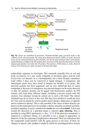 multicellular organism to investigate. This nematode normally lives in soil and
feeds on bacteria. It is also easily culturable in microtiter plates and fed with
Escherichia coli bacteria. It is a hermaphrodite, has a short lifespan, reproduces
itself within 3 days, can be conserved in liquid nitrogen, is transparent, and
homologous genes have been found in humans for 60–80% of its genes. The
pinworm genome has been sequenced, and we now understand how to easily
manipulate it. Because it is transparent, any internal changes can be easily observed
so that, for instance, proteins can be tagged with fluorescence markers. Its 959
somatic cells form many different organs, including a nervous system with 302
neurons. Can substance testing be carried out in such a life form? The ethical
threshold may be set lower in this case. But then, how predictive would any tests
be? Can such an animal be used to predict mood changes, depression, or appetite
and its relation to obesity? This is only possible if the causes of these diseases are
known on the molecular level, for example, a defect caused by an altered serotonin-
mediated signaling. In such a situation the worm can serve as a model. A first step
toward the discovery of a potential target is selective gene silencing. This is
possible by using RNA interference (▶ Sect. 12.7). If the pinworm (nematode) is
exposed to a substance library, it is possible to see a change in appearance or
behavior. Is the life expectancy lengthened or shortened? These are indications that
the compounds could interfere with the aging process or are toxic. If there are
changes in muscle cells, perhaps it might be useful for neurodegenerative muscle
GFP
hν
hν
DNA
Preparation of
the construct
Promotor
for Gene A
Gene A
DNA
Promotor
GFP
GFP Gene
Cell penetration
DNA
Promotor
for Gene A
GFP Gene
Test model
Activation
by active
substances
Registered signal
Fig. 7.2 Genes are controlled by promoters. Promoter-initiated gene activation leads to the
synthesis of the relevant protein. By using green fluorescent protein (GFP), an easily observed
assay can be constructed based on this principle. For this the gene promoter that is activated by
agonist binding is coupled to the GF-protein gene. Activation of the promoter then delivers not the
original gene product, but rather the GF protein. The presence of GF protein is easily observed
because of its fluorescence upon excitation with ultraviolet light.
7.5 Back to Whole-Animal Models: Screening on Nematodes 135
 