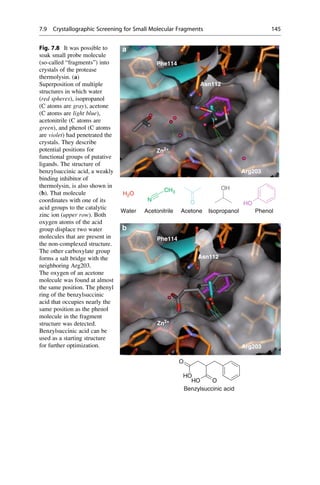 Phe114
Asn112
Zn2+
Arg203
a
OH
O
CH3
N
H2O
Phe114
Asn112
Zn2+
Arg203
O
b
HO
HO O
Benzylsuccinic acid
HO
Acetone
Water Acetonitrile Isopropanol Phenol
Fig. 7.8 It was possible to
soak small probe molecule
(so-called “fragments”) into
crystals of the protease
thermolysin. (a)
Superposition of multiple
structures in which water
(red spheres), isopropanol
(C atoms are gray), acetone
(C atoms are light blue),
acetonitrile (C atoms are
green), and phenol (C atoms
are violet) had penetrated the
crystals. They describe
potential positions for
functional groups of putative
ligands. The structure of
benzylsuccinic acid, a weakly
binding inhibitor of
thermolysin, is also shown in
(b). That molecule
coordinates with one of its
acid groups to the catalytic
zinc ion (upper row). Both
oxygen atoms of the acid
group displace two water
molecules that are present in
the non-complexed structure.
The other carboxylate group
forms a salt bridge with the
neighboring Arg203.
The oxygen of an acetone
molecule was found at almost
the same position. The phenyl
ring of the benzylsuccinic
acid that occupies nearly the
same position as the phenol
molecule in the fragment
structure was detected.
Benzylsuccinic acid can be
used as a starting structure
for further optimization.
7.9 Crystallographic Screening for Small Molecular Fragments 145
 