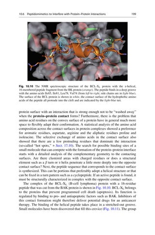 protein surface with an interaction that is strong enough not to be “washed away”
when the protein–protein contact forms? Furthermore, there is the problem that
amino acid residues on the convex surface of a protein have in general much more
space to flexibly adapt their conformation. A statistical analysis of the amino acid
composition across the contact surfaces in protein complexes showed a preference
for aromatic residues, aspartate, arginine and the aliphatic residues proline and
isoleucine. The selective exchange of amino acids in the contact surface also
showed that there are a few protruding residues that dominate the interaction
(so-called “hot spots,” ▶ Sect. 17.10). The search for possible binding sites of a
small molecule that can compete with the formation of the protein–protein interface
starts with a detailed analysis of the complementary geometry to the contacting
surfaces. Are there clustered areas with charged residues or does a structural
element such as a b turn or a helix penetrate a little more deeply into the opposite
contact surface? Next, the peptide sequence that corresponds to the contact surface
is synthesized. This can be portions that preferably adopt a helical structure or that
can be fixed in a turn pattern such as a cyclopeptide. If an active peptide is found, it
must be structurally characterized in complex with the opposite contact surface.
The complex of the BCL-XL (B-cell lymphoma) protein with a 16-residue
peptide that was cut from the BAK protein is shown in Fig. 10.10. BCL-XL belongs
to the proteins that prevent programmed cell death (apoptosis). Its function is
regulated by binding to pro- and antiapoptotic factors such as BAK. Inhibitors of
this contact formation might therefore deliver potential drugs for an anticancer
therapy. The binding of the helical peptide takes place in a stretched-out groove.
Small molecules have been discovered that fill this crevice (Fig. 10.11). The group
Fig. 10.10 The NMR spectroscopic structure of the BCL-XL protein with the a-helical,
16-membered peptide fragment from the BK protein (orange). The peptide binds in a deep groove
with the amino acids Ile85, Ile81, Leu78, Val74 (from left to right, side chains are in light blue).
The surface of the BCL protein is shown in white, the contact surface of the hydrophobic amino
acids of the peptide all protrude into the cleft and are indicated by the light-blue net.
10.6 Peptidomimetics to Interfere with Protein–Protein Interactions 199
 