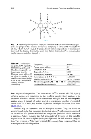 DNA sequences are possible. This translates to 20200
(a number with 260 digits!)
different amino acid sequences for the resulting protein. Short peptides with
enormous structural variety can be constructed with just the 20 proteinogenic
amino acids. If instead of amino acid A, a manageable number of modified
amino acids M is used, the number of possible analogues increases even more
(Table 11.1).
Peptides play an important role in biological systems. They are found as
protein ligands in the free form or as simple derivatives. Peptide sequences exposed
on the surface of a protein determine the recognition properties of the protein at
a receptor. Nature exhausts the full combinatorial diversity of the variable
sequences on the surface regions (epitopes) of proteins for their selective recogni-
tion. This principle of Nature can be adopted to generate huge compound libraries
with highly variable composition.
4
5
N
R5
R6
R4
N
O
R9
5
2
*
*
R7
R8
R2
R1
R3
R10
10
5
20
11.1
5 10
2
Fig. 11.1 The tetrahydroisoquinoline carboxylic acid amide 11.1 is to be substituted in 10 posi-
tions. The groups in these positions encompass a multiplicity of a total of 68 building blocks
(R1–R10 ¼ 5, 10, 10, 4, 5, 5, 5, 2, 2, 20 groups). Twenty million compounds can be constructed in
this way. If the structural diversity that results from the two stereocenters (*) is considered, this
number increases again by a factor of 4.
Table 11.1 Four-hundred
dipeptides, 8,000 tripeptides,
160,000 tetrapeptides, and
64 million hexapeptides can
be generated from the
20 natural amino acids, A. If
the palette is expanded to 100
modified, non-natural amino
acids, M, the combinatorial
diversity increases
dramatically.
Compounds Number
Natural amino acids, A 20
Dipeptides, A–A 400
Tripeptides, A–A–A 8,000
Tetrapeptides, A–A–A–A 160,000
Hexapeptides, A–A–A–A–A–A 64,000,000
Modified amino acids, M 100 (for example)
Modified hexapeptides, M–M–M–M–M–M 1,000,000,000,000
Number of known compounds 33,000,000
212 11 Combinatorics: Chemistry with Big Numbers
 