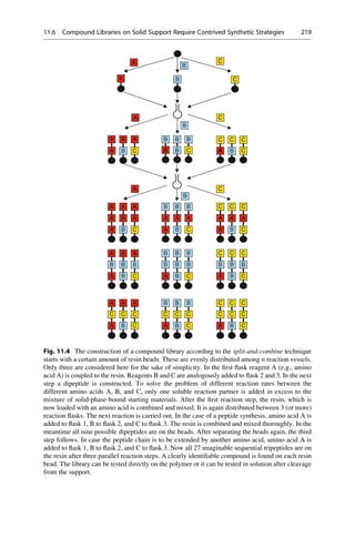 A
B
C
A B C
A C
B
C C C
A
A
A
C C C
A C
B
B
B
A
A
A
B
B
B
B
A
A
C
B
B
C
A C
B
A A A
A A A
A
C
A
A
B
C
A
B
B
A
A
B
B
A
B
A
C
C
C
A
C
A
B
A
A A A
A B
B
B
B B
C C C
B B
B
B
B B
B
B B
C
C
C
A A A B
C C C
B
B
C C C
C C C
C C C
C
A B
A C
B
A
B
C C C C C C C C C
C
Fig. 11.4 The construction of a compound library according to the split-and-combine technique
starts with a certain amount of resin beads. These are evenly distributed among n reaction vessels.
Only three are considered here for the sake of simplicity. In the first flask reagent A (e.g., amino
acid A) is coupled to the resin. Reagents B and C are analogously added to flask 2 and 3. In the next
step a dipeptide is constructed. To solve the problem of different reaction rates between the
different amino acids A, B, and C, only one soluble reaction partner is added in excess to the
mixture of solid-phase-bound starting materials. After the first reaction step, the resin, which is
now loaded with an amino acid is combined and mixed. It is again distributed between 3 (or more)
reaction flasks. The next reaction is carried out. In the case of a peptide synthesis, amino acid A is
added to flask 1, B to flask 2, and C to flask 3. The resin is combined and mixed thoroughly. In the
meantime all nine possible dipeptides are on the beads. After separating the beads again, the third
step follows. In case the peptide chain is to be extended by another amino acid, amino acid A is
added to flask 1, B to flask 2, and C to flask 3. Now all 27 imaginable sequential tripeptides are on
the resin after three parallel reaction steps. A clearly identifiable compound is found on each resin
bead. The library can be tested directly on the polymer or it can be tested in solution after cleavage
from the support.
11.6 Compound Libraries on Solid Support Require Contrived Synthetic Strategies 219
 