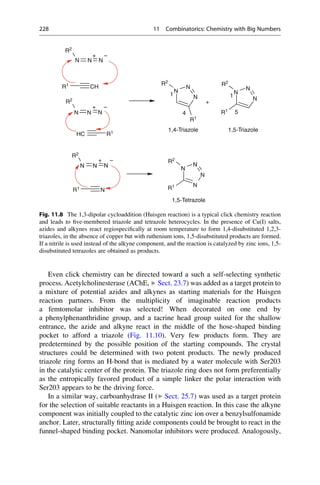 Even click chemistry can be directed toward a such a self-selecting synthetic
process. Acetylcholinesterase (AChE, ▶ Sect. 23.7) was added as a target protein to
a mixture of potential azides and alkynes as starting materials for the Huisgen
reaction partners. From the multiplicity of imaginable reaction products
a femtomolar inhibitor was selected! When decorated on one end by
a phenylphenanthridine group, and a tacrine head group suited for the shallow
entrance, the azide and alkyne react in the middle of the hose-shaped binding
pocket to afford a triazole (Fig. 11.10). Very few products form. They are
predetermined by the possible position of the starting compounds. The crystal
structures could be determined with two potent products. The newly produced
triazole ring forms an H-bond that is mediated by a water molecule with Ser203
in the catalytic center of the protein. The triazole ring does not form preferentially
as the entropically favored product of a simple linker the polar interaction with
Ser203 appears to be the driving force.
In a similar way, carboanhydrase II (▶ Sect. 25.7) was used as a target protein
for the selection of suitable reactants in a Huisgen reaction. In this case the alkyne
component was initially coupled to the catalytic zinc ion over a benzylsulfonamide
anchor. Later, structurally fitting azide components could be brought to react in the
funnel-shaped binding pocket. Nanomolar inhibitors were produced. Analogously,
N N
+
N
R2
N
N
R2
R2
N
CH
R1
N
R1
N
N
R1
N N
+
N
R2
1
4
1
5
+
HC R1
N N
+
N
R2
N
N
R2
1,4-Triazole 1,5-Triazole
N N N
N
R1
N
N
N
N
R1
1,5-Tetrazole
Fig. 11.8 The 1,3-dipolar cycloaddition (Huisgen reaction) is a typical click chemistry reaction
and leads to five-membered triazole and tetrazole heterocycles. In the presence of Cu(I) salts,
azides and alkynes react regiospecifically at room temperature to form 1,4-disubstituted 1,2,3-
triazoles, in the absence of copper but with ruthenium ions, 1,5-disubstituted products are formed.
If a nitrile is used instead of the alkyne component, and the reaction is catalyzed by zinc ions, 1,5-
disubstituted tetrazoles are obtained as products.
228 11 Combinatorics: Chemistry with Big Numbers
 