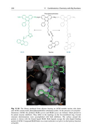N
HN
N
N
+
NH2
H2N
N
N
N
+
NH2
H2N
N
HN
N
N
N
N
N
H
N
N
+
NH2
H2N
N
N
Phenylphenanthridine
Tacrine
11.11 11.12
Ser203
Fig. 11.10 The library produced from alkynes bearing an AChE-suitable tacrine side chain
and AChE custom-made phenylphenanthridine-substituted azides. In the presence of acetylcho-
linesterase (AChE) the products 11.11 (green) and 11.12 (gray) are formed, which proved to
be potent enzyme inhibitors. They differ in the topology on the five-membered ring. Crystal
structure determinations were accomplished with both inhibitors. The surface around the
protein is shown with the bound ligand 11.12. Both ligands occupy the tube-shaped binding
pocket of AChE. Compound 11.11 binds via a water molecule (red sphere) to the hydroxy function
of Ser203.
230 11 Combinatorics: Chemistry with Big Numbers
 