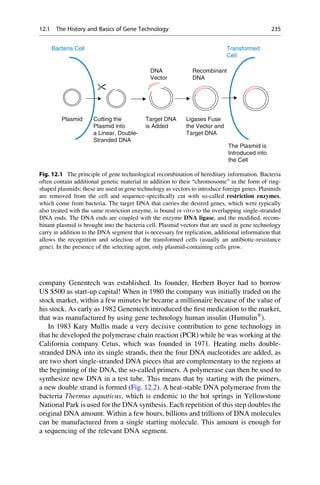 company Genentech was established. Its founder, Herbert Boyer had to borrow
US $500 as start-up capital! When in 1980 the company was initially traded on the
stock market, within a few minutes he became a millionaire because of the value of
his stock. As early as 1982 Genentech introduced the first medication to the market,
that was manufactured by using gene technology human insulin (Humulin®
).
In 1983 Kary Mullis made a very decisive contribution to gene technology in
that he developed the polymerase chain reaction (PCR) while he was working at the
California company Cetus, which was founded in 1971. Heating melts double-
stranded DNA into its single strands, then the four DNA nucleotides are added, as
are two short single-stranded DNA pieces that are complementary to the regions at
the beginning of the DNA, the so-called primers. A polymerase can then be used to
synthesize new DNA in a test tube. This means that by starting with the primers,
a new double strand is formed (Fig. 12.2). A heat-stable DNA polymerase from the
bacteria Thermus aquaticus, which is endemic to the hot springs in Yellowstone
National Park is used for the DNA synthesis. Each repetition of this step doubles the
original DNA amount. Within a few hours, billions and trillions of DNA molecules
can be manufactured from a single starting molecule. This amount is enough for
a sequencing of the relevant DNA segment.
Cutting the
Plasmid into
a Linear, Double-
Stranded DNA
Target DNA
is Added
Ligases Fuse
the Vector and
Target DNA
The Plasmid is
Introduced into
the Cell
DNA
Vector
Bacteria Cell Transformed
Cell
Recombinant
DNA
Plasmid
Fig. 12.1 The principle of gene technological recombination of hereditary information. Bacteria
often contain additional genetic material in addition to their “chromosome” in the form of ring-
shaped plasmids; these are used in gene technology as vectors to introduce foreign genes. Plasmids
are removed from the cell and sequence-specifically cut with so-called restriction enzymes,
which come from bacteria. The target DNA that carries the desired genes, which were typically
also treated with the same restriction enzyme, is bound in vitro to the overlapping single-stranded
DNA ends. The DNA ends are coupled with the enzyme DNA ligase, and the modified, recom-
binant plasmid is brought into the bacteria cell. Plasmid vectors that are used in gene technology
carry in addition to the DNA segment that is necessary for replication, additional information that
allows the recognition and selection of the transformed cells (usually an antibiotic-resistance
gene). In the presence of the selecting agent, only plasmid-containing cells grow.
12.1 The History and Basics of Gene Technology 235
 