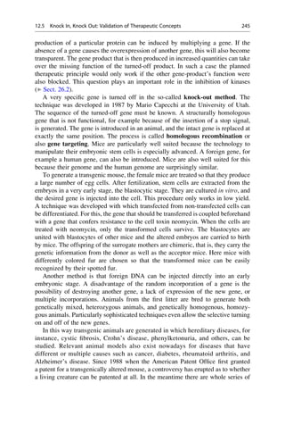 production of a particular protein can be induced by multiplying a gene. If the
absence of a gene causes the overexpression of another gene, this will also become
transparent. The gene product that is then produced in increased quantities can take
over the missing function of the turned-off product. In such a case the planned
therapeutic principle would only work if the other gene-product’s function were
also blocked. This question plays an important role in the inhibition of kinases
(▶ Sect. 26.2).
A very specific gene is turned off in the so-called knock-out method. The
technique was developed in 1987 by Mario Capecchi at the University of Utah.
The sequence of the turned-off gene must be known. A structurally homologous
gene that is not functional, for example because of the insertion of a stop signal,
is generated. The gene is introduced in an animal, and the intact gene is replaced at
exactly the same position. The process is called homologous recombination or
also gene targeting. Mice are particularly well suited because the technology to
manipulate their embryonic stem cells is especially advanced. A foreign gene, for
example a human gene, can also be introduced. Mice are also well suited for this
because their genome and the human genome are surprisingly similar.
To generate a transgenic mouse, the female mice are treated so that they produce
a large number of egg cells. After fertilization, stem cells are extracted from the
embryos in a very early stage, the blastocytic stage. They are cultured in vitro, and
the desired gene is injected into the cell. This procedure only works in low yield.
A technique was developed with which transfected from non-transfected cells can
be differentiated. For this, the gene that should be transferred is coupled beforehand
with a gene that confers resistance to the cell toxin neomycin. When the cells are
treated with neomycin, only the transformed cells survive. The blastocytes are
united with blastocytes of other mice and the altered embryos are carried to birth
by mice. The offspring of the surrogate mothers are chimeric, that is, they carry the
genetic information from the donor as well as the acceptor mice. Here mice with
differently colored fur are chosen so that the transformed mice can be easily
recognized by their spotted fur.
Another method is that foreign DNA can be injected directly into an early
embryonic stage. A disadvantage of the random incorporation of a gene is the
possibility of destroying another gene, a lack of expression of the new gene, or
multiple incorporations. Animals from the first litter are bred to generate both
genetically mixed, heterozygous animals, and genetically homogenous, homozy-
gous animals. Particularly sophisticated techniques even allow the selective turning
on and off of the new genes.
In this way transgenic animals are generated in which hereditary diseases, for
instance, cystic fibrosis, Crohn’s disease, phenylketonuria, and others, can be
studied. Relevant animal models also exist nowadays for diseases that have
different or multiple causes such as cancer, diabetes, rheumatoid arthritis, and
Alzheimer’s disease. Since 1988 when the American Patent Office first granted
a patent for a transgenically altered mouse, a controversy has erupted as to whether
a living creature can be patented at all. In the meantime there are whole series of
12.5 Knock In, Knock Out: Validation of Therapeutic Concepts 245
 