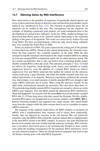 12.7 Silencing Genes by RNA Interference
How intervention in the germline of organisms of genetically altered species can
occur so that a particular absent or defective gene and therefore gene product can be
replaced was introduced in Sect. 12.5. The function of particular genes for an
organism can be studied in this way. The consequences for the organism, for
example, of blocking a particular gene product, are made transparent prior to the
development of a potent active substance. In the late 1990s, another technique was
discovered that allows genes to be silenced without intervening in the molecular
biology of the genes of an organism. This work was carried out by Andrew Fire and
Craig Mello. For their accomplishments, which are only slowly being validated,
they were awarded the Nobel Prize in 2006.
Genes are archived in DNA. For gene expression the coding part of the genome
is transcribed into mRNA. Based on this copied information, the ribosome trans-
forms the base sequence into a peptide sequence. In the early 1980s the idea
emerged to trap the translated information on the single-stranded mRNA by adding
an inversely arranged RNA complement strand, the so-called antisense strand. The
two strands can hybridize, that is, they can bind to form a matching double strand.
Double-stranded RNA is then the result. This antisense principle (▶ Sect. 32.4) did
not deliver the hoped-for, break-through result. Genes were partially or weakly
suppressed, however, even the addition of a normal RNA strand can achieve
suppression. Fire and Mello suspected that neither the normal nor the antisense
strand could cause a gene blockade, but rather the double-stranded form that was
added inadvertently as an impurity. Renewed experiments confirmed the assump-
tion. Interestingly, even small amounts of double-stranded RNA are enough to take
many mRNA molecules out of action. When using the antisense strands, on the
other hand, stoichiometric amounts are necessary. This also shows that short, ca.
20-nucleotide-long double-stranded RNA fragments are enough to silence an entire
mRNA gene sequence. Fire and Mello named the phenomena RNA interference.
What had happened? An enzyme with the name dicer cleaved the double-stranded
RNA into 21–23 base-long pieces that then caused the blockade. For this, double-
stranded RNA pieces are incorporated in an enzyme complex called RISC (RNA-
induced silencing complex) and separated into single strands. One strand breaks
away from the complex while the other remains there to act as a template to capture
mRNA molecules.
The sequence of the captured strand allows the RISC complex to recognize all
mRNA with a complementary base sequence and to cleave them sequentially.
Finally, they are digested by enzymes in the cell plasma. The cell selectively
eliminates only the mRNAs that contain the sequence pattern that is complementary
to the short RNA strands in the RISC complex. In practice, this gene blockade has
proven to be simpler and more reliable than the antisense technique. RNA interfer-
ence even allows discovered genes to be systematically blocked to draw conclu-
sions about the resulting consequences for the organism. RNA interference serves
not only analytical purposes. There are already biotech companies that want to turn
off disease-causing genes with small RNA fragments.
12.7 Silencing Genes by RNA Interference 247
 