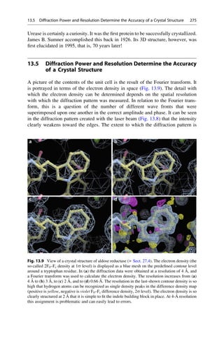 Urease is certainly a curiosity. It was the first protein to be successfully crystallized.
James B. Sumner accomplished this back in 1926. Its 3D structure, however, was
first elucidated in 1995, that is, 70 years later!
13.5 Diffraction Power and Resolution Determine the Accuracy
of a Crystal Structure
A picture of the contents of the unit cell is the result of the Fourier transform. It
is portrayed in terms of the electron density in space (Fig. 13.9). The detail with
which the electron density can be determined depends on the spatial resolution
with which the diffraction pattern was measured. In relation to the Fourier trans-
form, this is a question of the number of different wave fronts that were
superimposed upon one another in the correct amplitude and phase. It can be seen
in the diffraction pattern created with the laser beam (Fig. 13.8) that the intensity
clearly weakens toward the edges. The extent to which the diffraction pattern is
Fig. 13.9 View of a crystal structure of aldose reductase (▶ Sect. 27.4). The electron density (the
so-called 2F0–Fc density at 1s level) is displayed as a blue mesh on the predefined contour level
around a tryptophan residue. In (a) the diffraction data were obtained at a resolution of 4 Å, and
a Fourier transform was used to calculate the electron density. The resolution increases from (a)
4 Å to (b) 3 Å, to (c) 2 Å, and to (d) 0.66 Å. The resolution in the last-shown contour density is so
high that hydrogen atoms can be recognized as single density peaks in the difference density map
(positive is yellow, negative is violet F0–Fc difference density, 2s level). The electron density is so
clearly structured at 2 Å that it is simple to fit the indole building block in place. At 4-Å resolution
this assignment is problematic and can easily lead to errors.
13.5 Diffraction Power and Resolution Determine the Accuracy of a Crystal Structure 275
 