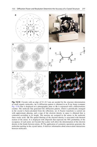 a b
c
e
d
H
H
H
H
H
H
C
C
0
0
0 0
0
0
f
Fig. 13.10 Crystals with an edge of 0.1–0.3 mm are needed for the structure determination
of small organic molecules. (a) A diffraction pattern is obtained in an X-ray beam (compare
Fig. 13.8) that is displayed on a photographic plate or (b) is registered with a diffractometer
counter. The molecule that generated this diffraction pattern, which is periodically arranged
in the crystal is back-calculated from the reflections. (c) A Fourier transform is carried out
with approximate phasing, and a map of the electron density in space is obtained that is
contoured according to its height. The maxima are assigned to the atoms in the molecule
(here oxalic acid). (d) The spatial blurring of the electron density is associated with thermal
motion of the atoms. It is displayed with ellipsoids that represent the 50% probability of the
occupancy of each atom. (e) Crystals that scatter well allow the determination of the electron
density in the bonds between atoms. (f) The application of symmetry operations generates the
molecular packing in the crystal lattice. It delivers information about noncovalent interactions
between molecules.
13.5 Diffraction Power and Resolution Determine the Accuracy of a Crystal Structure 277
 
