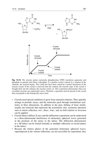 • Crystals need special conditions to grow from saturated solutions. They spatially
arrange in periodic arrays, and the molecules pack through translational sym-
metry in three dimensions. In addition to the pure shifting of basic motifs,
usually one molecule that represents the asymmetric unit, symmetry operation
such as mirror reflection, two-, three-, four-, and six-fold rotation or inversion
can be applied.
• Crystal lattices diffract X-rays and the diffraction experiment can be understood
as a three-dimensional interference of elementary spherical waves generated
at the positions of the atoms in the lattice. The diffraction phenomenon
at a 3D lattice can be treated formally as multiple reflections at crystal planes
in the lattice.
• Because the relative phases of the generated elementary spherical waves,
superimposed in the various reflections, are not accessible by experiment, they
O O
O
HO N
NH
N
N NH2 N
NH
N
N NH2
H
OH
OH
H2PO3
−
O
O
H OPO2H−
+
+
PNP
OH
OH
Crystal
removed
Reaction
rate
Crystal
removed
Crystal
soaked
Crystal
soaked
Time
Fig. 13.15 The enzyme purine nucleoside phosphorylase (PNP) transforms guanosine and
phosphate to guanine and ribose-1-phosphate. If a protein crystal is placed in a solution of the
substrate, the reaction begins. This could also have been caused by a partial dissolution of the
enzyme crystal. If the crystal is removed from the solution, the reaction stops. If the crystal is
brought back into the solution, the reaction carries on. This experiment demonstrates that even
crystalline enzymes are catalytically active. Therefore, a geometry must be present in the crystal
that corresponds to the biologically active form.
13.10 Synopsis 287
 