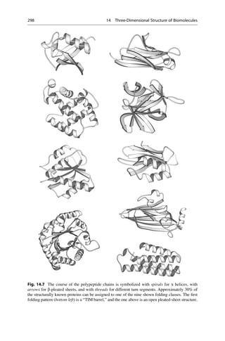 Fig. 14.7 The course of the polypeptide chains is symbolized with spirals for a helices, with
arrows for b-pleated sheets, and with threads for different turn segments. Approximately 30% of
the structurally known proteins can be assigned to one of the nine shown folding classes. The first
folding pattern (bottom left) is a “TIM barrel,” and the one above is an open pleated-sheet structure.
298 14 Three-Dimensional Structure of Biomolecules
 