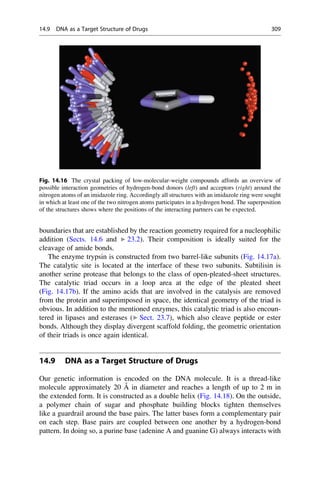 boundaries that are established by the reaction geometry required for a nucleophilic
addition (Sects. 14.6 and ▶ 23.2). Their composition is ideally suited for the
cleavage of amide bonds.
The enzyme trypsin is constructed from two barrel-like subunits (Fig. 14.17a).
The catalytic site is located at the interface of these two subunits. Subtilisin is
another serine protease that belongs to the class of open-pleated-sheet structures.
The catalytic triad occurs in a loop area at the edge of the pleated sheet
(Fig. 14.17b). If the amino acids that are involved in the catalysis are removed
from the protein and superimposed in space, the identical geometry of the triad is
obvious. In addition to the mentioned enzymes, this catalytic triad is also encoun-
tered in lipases and esterases (▶ Sect. 23.7), which also cleave peptide or ester
bonds. Although they display divergent scaffold folding, the geometric orientation
of their triads is once again identical.
14.9 DNA as a Target Structure of Drugs
Our genetic information is encoded on the DNA molecule. It is a thread-like
molecule approximately 20 Å in diameter and reaches a length of up to 2 m in
the extended form. It is constructed as a double helix (Fig. 14.18). On the outside,
a polymer chain of sugar and phosphate building blocks tighten themselves
like a guardrail around the base pairs. The latter bases form a complementary pair
on each step. Base pairs are coupled between one another by a hydrogen-bond
pattern. In doing so, a purine base (adenine A and guanine G) always interacts with
Fig. 14.16 The crystal packing of low-molecular-weight compounds affords an overview of
possible interaction geometries of hydrogen-bond donors (left) and acceptors (right) around the
nitrogen atoms of an imidazole ring. Accordingly all structures with an imidazole ring were sought
in which at least one of the two nitrogen atoms participates in a hydrogen bond. The superposition
of the structures shows where the positions of the interacting partners can be expected.
14.9 DNA as a Target Structure of Drugs 309
 