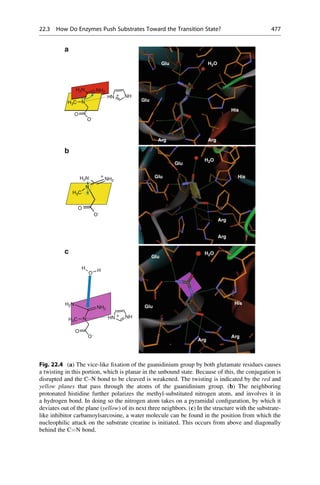 Drug design book.pdf