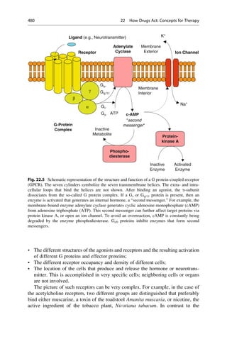 Drug design book.pdf