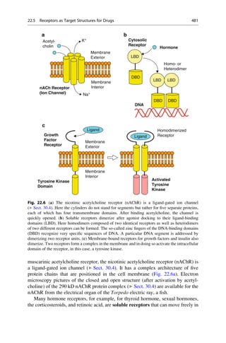 Drug design book.pdf
