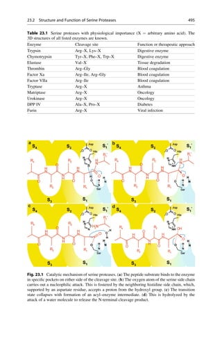 Drug design book.pdf