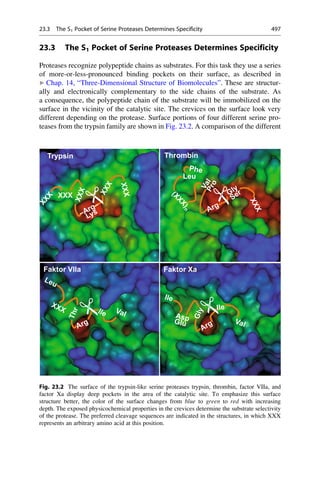 Drug design book.pdf