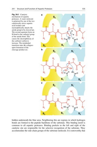 Drug design book.pdf