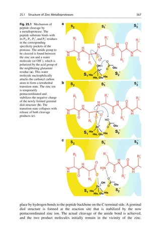 Drug design book.pdf
