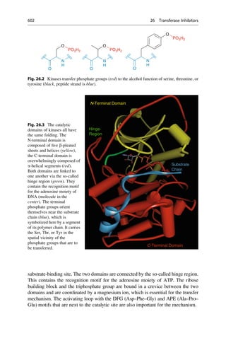Drug design book.pdf