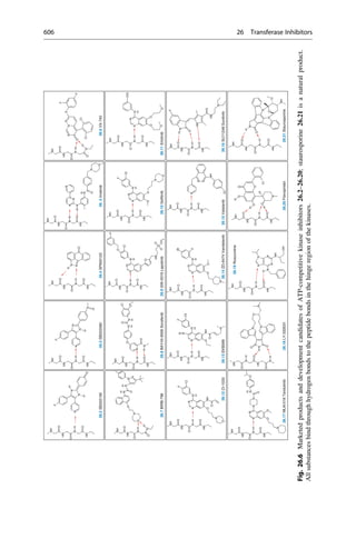 Drug design book.pdf