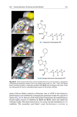 Drug design book.pdf