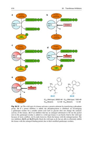 Drug design book.pdf