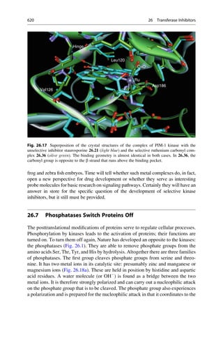 Drug design book.pdf