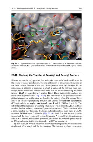 Drug design book.pdf
