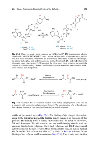 Drug design book.pdf