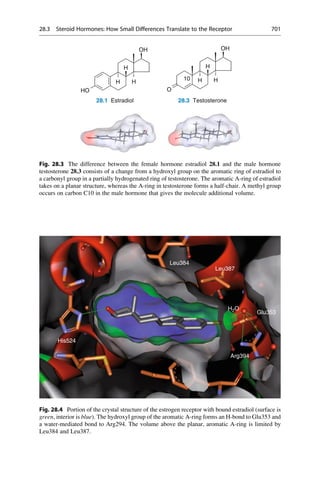 Drug design book.pdf