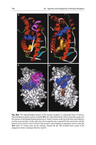 Drug design book.pdf