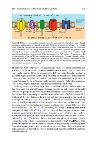 Drug design book.pdf