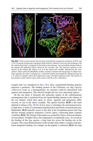 Drug design book.pdf