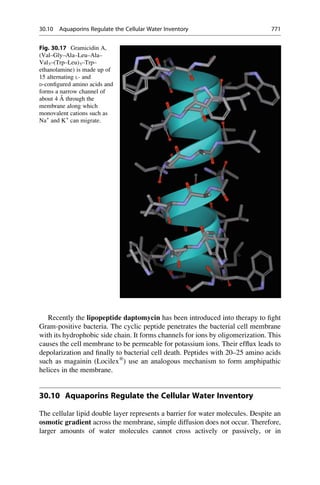 Drug design book.pdf