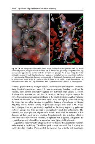 Drug design book.pdf