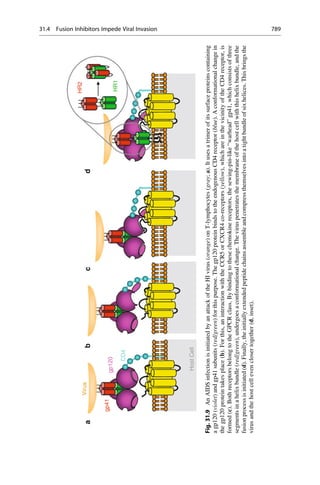 Drug design book.pdf