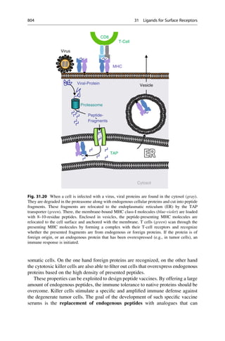 Drug design book.pdf