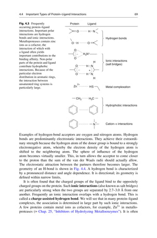Examples of hydrogen-bond acceptors are oxygen and nitrogen atoms. Hydrogen
bonds are predominantly electrostatic interactions. They achieve their extraordi-
nary strength because the hydrogen atom of the donor group is bound to a strongly
electronegative atom, whereby the electron density of the hydrogen atom is
shifted to the neighboring atom. The sphere of influence of the hydrogen
atom becomes virtually smaller. This, in turn allows the acceptor to come closer
to the proton than the sum of the van der Waals radii should actually allow.
The electrostatic attraction between the partners therefore becomes larger. The
geometry of an H-bond is shown in Fig. 4.4. A hydrogen bond is characterized
by a pronounced distance and angle dependence. It is directional; its geometry is
defined within narrow limits.
It is often found that the charged groups of the ligand bind to the oppositely
charged groups on the protein. Such ionic interactions (also known as salt bridges)
are particularly strong when the two groups are separated by 2.7–3.0 Å from one
another. Frequently an ionic interaction overlaps with a hydrogen bond. This is
called a charge-assisted hydrogen bond. We will see that in many protein–ligand
complexes, the association is determined in large part by such ionic interactions.
A few proteins contain metal ions as cofactors, for example, Zn2+
in metallo-
proteases (▶ Chap. 25, “Inhibitors of Hydrolyzing Metalloenzymes”). It is often
O
O H
CH3
H N
O
H3C
H3N+
N
+
N
N
H
H
H
H
Zn
2+
S
H
O
O
O
O
Protein Ligand
Hydrogen bonds
Hydrophobic interactions
Cation–p interactions
Ionic interactions
(salt bridges)
Metal complexation
+
-
-
Fig. 4.3 Frequently
occurring protein–ligand
interactions. Important polar
interactions are hydrogen
bonds and ionic interactions.
Metalloproteases contain zinc
ions as a cofactor, the
interaction of which with
a ligand often yields
important contributions to the
binding affinity. Non-polar
parts of the protein and ligand
contribute hydrophobic
interactions. Because of the
particular electron
distribution in aromatic rings,
the interaction between
unsaturated ring systems is
particularly large.
4.4 Important Types of Protein–Ligand Interactions 69
 