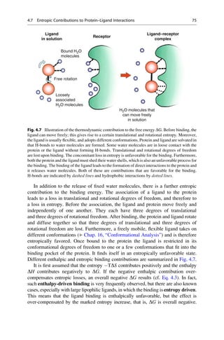 In addition to the release of fixed water molecules, there is a further entropic
contribution to the binding energy. The association of a ligand to the protein
leads to a loss in translational and rotational degrees of freedom, and therefore to
a loss in entropy. Before the association, the ligand and protein move freely and
independently of one another. They each have three degrees of translational
and three degrees of rotational freedom. After binding, the protein and ligand rotate
and diffuse together so that three degrees of translational and three degrees of
rotational freedom are lost. Furthermore, a freely mobile, flexible ligand takes on
different conformations (▶ Chap. 16, “Conformational Analysis”) and is therefore
entropically favored. Once bound to the protein the ligand is restricted in its
conformational degrees of freedom to one or a few conformations that fit into the
binding pocket of the protein. It finds itself in an entropically unfavorable state.
Different enthalpic and entropic binding contributions are summarized in Fig. 4.7.
It is first assumed that the entropy TDS contributes positively and the enthalpy
DH contributes negatively to DG. If the negative enthalpic contribution over-
compensates entropic losses, an overall negative DG results (cf. Eq. 4.3). In fact,
such enthalpy-driven binding is very frequently observed, but there are also known
cases, especially with large lipophilic ligands, in which the binding is entropy driven.
This means that the ligand binding is enthalpically unfavorable, but the effect is
over-compensated by the marked entropy increase, that is, DG is overall negative.
Receptor
Bound H2O
molecules
Ligand
in solution
Loosely
associated
H2O molecules
Free rotation
Ligand–receptor
complex
H2O molecules that
can move freely
in solution
Fig. 4.7 Illustration of the thermodynamic contribution to the free energy DG. Before binding, the
ligand can move freely; this gives rise to a certain translational and rotational entropy. Moreover,
the ligand is usually flexible, and adopts different conformations. Protein and ligand are solvated in
that H-bonds to water molecules are formed. Some water molecules are in loose contact with the
protein or the ligand without forming H-bonds. Translational and rotational degrees of freedom
are lost upon binding. The concomitant loss in entropy is unfavorable for the binding. Furthermore,
both the protein and the ligand must shed their water shells, which is also an unfavorable process for
the binding. The binding of the ligand leads to the formation of direct interactions to the protein and
it releases water molecules. Both of these are contributions that are favorable for the binding.
H-bonds are indicated by dashed lines and hydrophobic interactions by dotted lines.
4.7 Entropic Contributions to Protein–Ligand Interactions 75
 