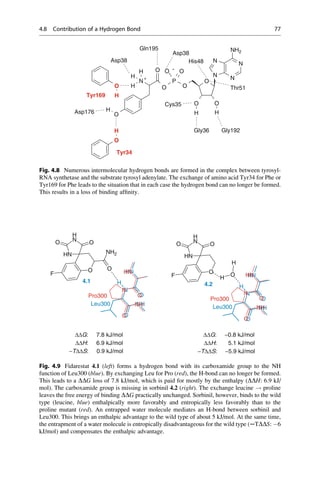 O
P
O
O
O O
N
N
N
N
NH2
O O
O
N
O
H
H
H
H
H H
O
H
O
H
Asp38
Asp176
Tyr169
Gln195
Asp38
His48
Thr51
Gly192
Gly36
Cys35
Tyr34
+
-
Fig. 4.8 Numerous intermolecular hydrogen bonds are formed in the complex between tyrosyl-
RNA synthetase and the substrate tyrosyl adenylate. The exchange of amino acid Tyr34 for Phe or
Tyr169 for Phe leads to the situation that in each case the hydrogen bond can no longer be formed.
This results in a loss of binding affinity.
N
H
N
H
O O
NH2
F
O
O
N
H
O
N
H
O
NH
N
O
N
H
O
NH
Leu300
4.1
Pro300
N
H
N
H
O
F
O
O
N
H
O
N
H
O
NH
N
O
N
H
O
NH
H
O
H
Leu300
4.2
Pro300
ΔΔG: 7.8 kJ/mol
ΔΔH: 6.9 kJ/mol
−TΔΔS: 0.9 kJ/mol
ΔΔG: −0.8 kJ/mol
ΔΔH: 5.1 kJ/mol
−TΔΔS: −5.9 kJ/mol
Fig. 4.9 Fidarestat 4.1 (left) forms a hydrogen bond with its carboxamide group to the NH
function of Leu300 (blue). By exchanging Leu for Pro (red), the H-bond can no longer be formed.
This leads to a DDG loss of 7.8 kJ/mol, which is paid for mostly by the enthalpy (DDH: 6.9 kJ/
mol). The carboxamide group is missing in sorbinil 4.2 (right). The exchange leucine ! proline
leaves the free energy of binding DDG practically unchanged. Sorbinil, however, binds to the wild
type (leucine, blue) enthalpically more favorably and entropically less favorably than to the
proline mutant (red). An entrapped water molecule mediates an H-bond between sorbinil and
Leu300. This brings an enthalpic advantage to the wild type of about 5 kJ/mol. At the same time,
the entrapment of a water molecule is entropically disadvantageous for the wild type (─TDDS: 6
kJ/mol) and compensates the enthalpic advantage.
4.8 Contribution of a Hydrogen Bond 77
 