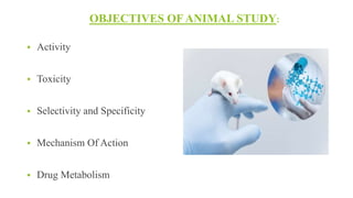 Drug Development Animals Drug development | PPTX