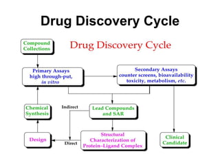 Drug Discovery Cycle
 
