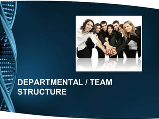 DEPARTMENTAL / TEAM
STRUCTURE
 