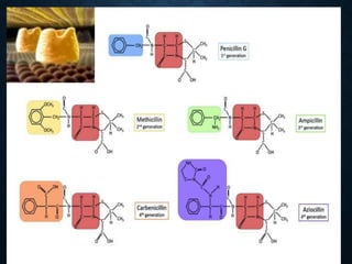 BENZYL PENICILLIN –G –BETA
LACTAM RING
 